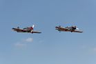 flugtag05