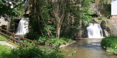 neuerburg34.jpg