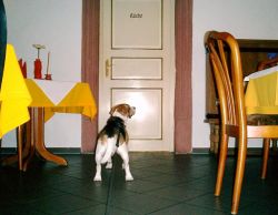 scotty029